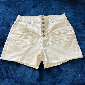 High Rise Midi Shorts